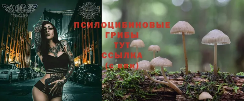 Галлюциногенные грибы Magic Shrooms  закладка  МЕГА зеркало  Ярцево 